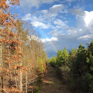 Meet your Posher, Shelby